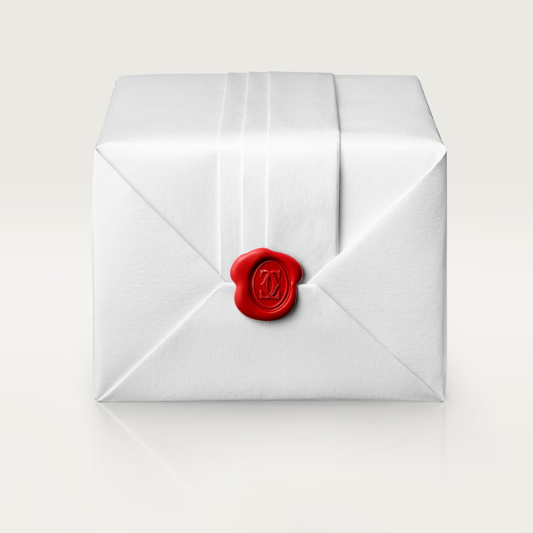 ECROU DE CARTIER EARRINGS